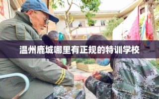 温州鹿城哪里有正规的特训学校