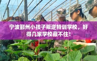 宁波鄞州小孩子叛逆特训学校，好得几家学校藏不住！