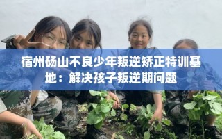 宿州砀山不良少年叛逆矫正特训基地：解决孩子叛逆期问题