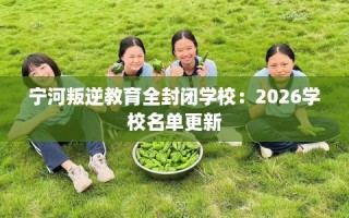 宁河叛逆教育全封闭学校：2026学校名单更新