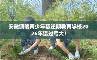 安徽铜陵青少年叛逆期教育学校2026年错过亏大！