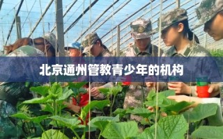 北京通州管教青少年的机构