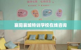 襄阳襄城特训学校在线咨询