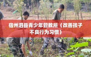 宿州泗县青少年管教所（改善孩子不良行为习惯）