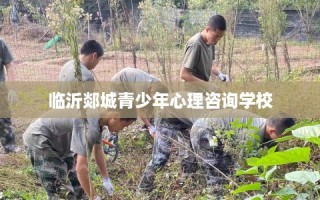 临沂郯城青少年心理咨询学校