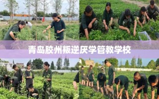 青岛胶州叛逆厌学管教学校