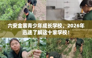 六安金寨青少年成长学校，2026年迅速了解这十家学校！