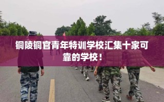铜陵铜官青年特训学校汇集十家可靠的学校！