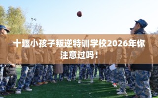 十堰小孩子叛逆特训学校2026年你注意过吗！