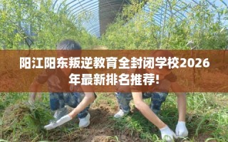 阳江阳东叛逆教育全封闭学校2026年最新排名推荐!