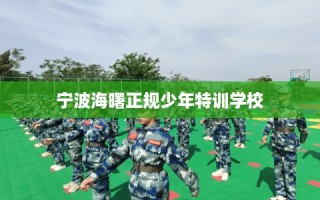 宁波海曙正规少年特训学校