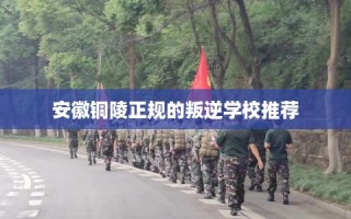 安徽铜陵正规的叛逆学校推荐