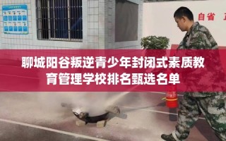 聊城阳谷叛逆青少年封闭式素质教育管理学校排名甄选名单