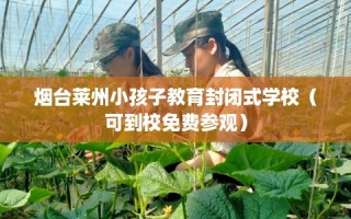 烟台莱州小孩子教育封闭式学校（可到校免费参观）