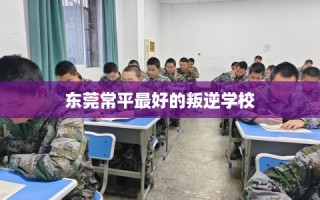 东莞常平最好的叛逆学校