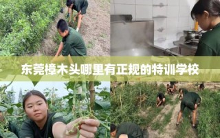 东莞樟木头哪里有正规的特训学校