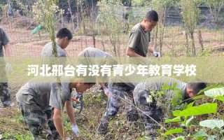 河北邢台有没有青少年教育学校