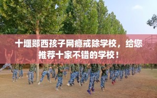 十堰郧西孩子网瘾戒除学校，给您推荐十家不错的学校！