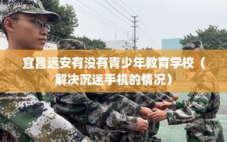 宜昌远安有没有青少年教育学校（解决沉迷手机的情况）