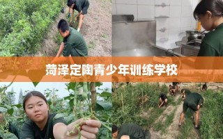 菏泽定陶青少年训练学校
