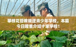 攀枝花管教叛逆青少年学校，本篇今日隆重介绍十家学校！