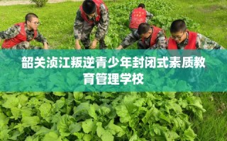 韶关浈江叛逆青少年封闭式素质教育管理学校