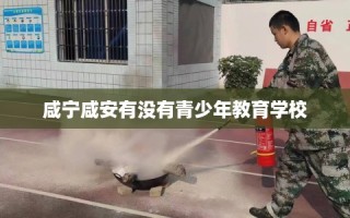 咸宁咸安有没有青少年教育学校