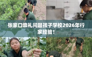 张家口崇礼问题孩子学校2026年行家经验！