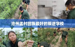 沧州孟村回族最好的叛逆学校
