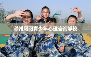 滁州凤阳青少年心理咨询学校