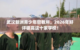 武汉新洲青少年管教所，2026年好评极高这十家学校！