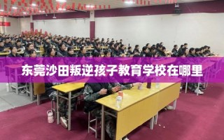 东莞沙田叛逆孩子教育学校在哪里