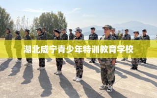 湖北咸宁青少年特训教育学校
