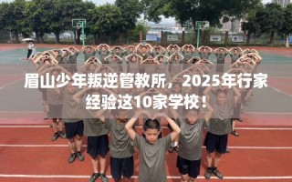 眉山少年叛逆管教所，2025年行家经验这10家学校！