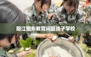 阳江阳东教育问题孩子学校
