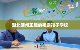 湖北随州正规的叛逆孩子学校
