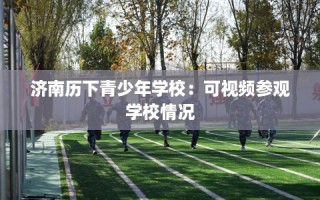 济南历下青少年学校：可视频参观学校情况