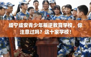 咸宁咸安青少年叛逆教育学校，你注意过吗？这十家学校！