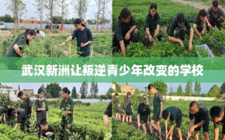 武汉新洲让叛逆青少年改变的学校