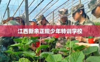 江西新余正规少年特训学校