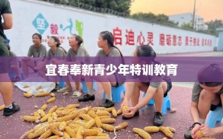 宜春奉新青少年特训教育