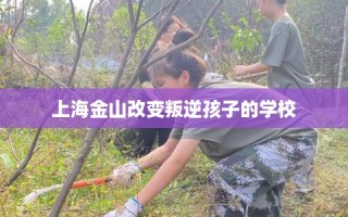 上海金山改变叛逆孩子的学校