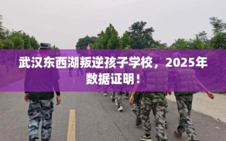 武汉东西湖叛逆孩子学校，2025年数据证明！