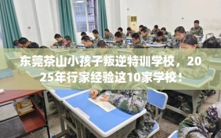 东莞茶山小孩子叛逆特训学校，2025年行家经验这10家学校！
