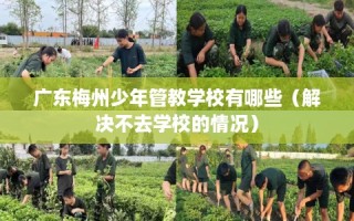 广东梅州少年管教学校有哪些（解决不去学校的情况）