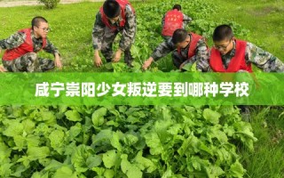 咸宁崇阳少女叛逆要到哪种学校