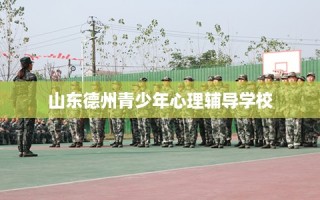 山东德州青少年心理辅导学校