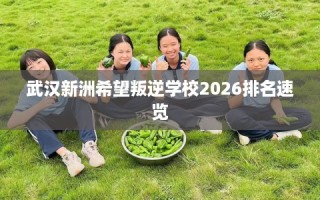 武汉新洲希望叛逆学校2026排名速览