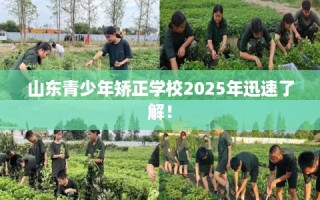 山东青少年矫正学校2025年迅速了解！