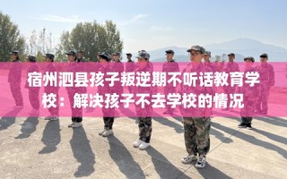 宿州泗县孩子叛逆期不听话教育学校：解决孩子不去学校的情况